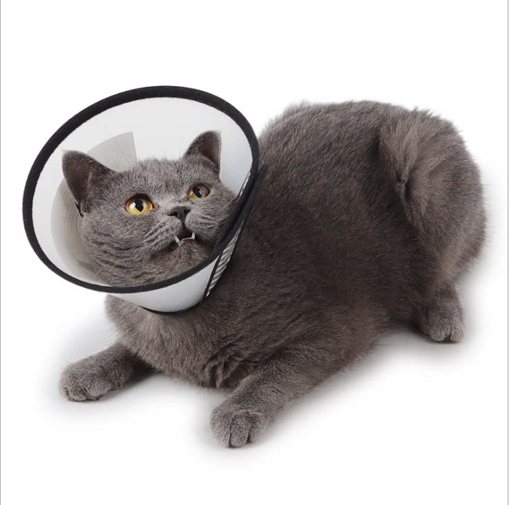 Elizabeth ring dog collar cat and dog protection headgear anti scratch lick bite flea ring pet collar supplies