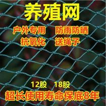 Outdoor raising chicken nets Blocking Chicken Nets Walled Chicken Nets Vegetable Garden Nets Poultry Breeding Nets Plastic Anti-Chicken Protective Fences Nets Nylon Nets