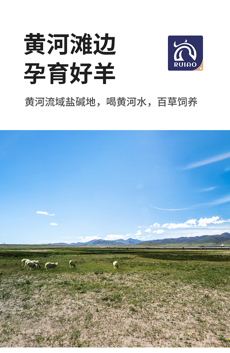 睿澳 新鲜羔羊 羊蝎子 2斤 图3