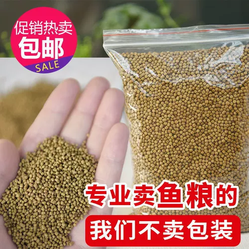 Рыба для рыбы, декоративная рыба, рыба -корма koi кормит небольшие золотые рыб