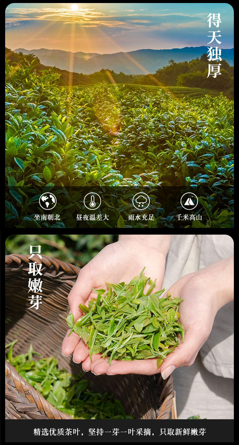 【知己有礼】茉莉花茶罐装250g