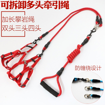 Walking dog traction rope Multi pet small dog one tug 2 gold wool anti-loss double dog big-boy Bears midsize dog pooch