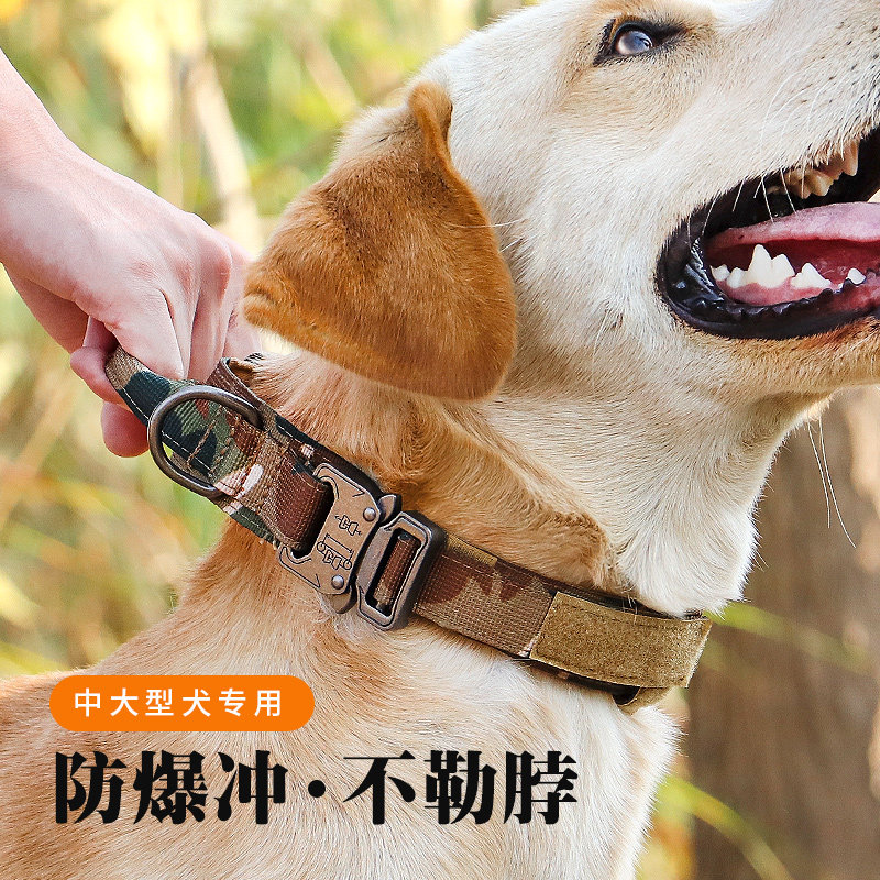 Large Dog Mound Dog Dog Collar Neck Ring Haschic Large Dogs Anti-Escape Adjustable Bolt neck Anti-biting Large