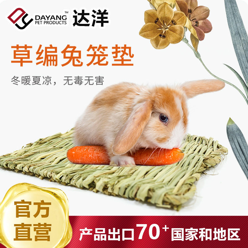 Dayang Direct Rabbit with small pet products for grass cushion grinding toys rabbit cage rabbit with grass rabbit supplies