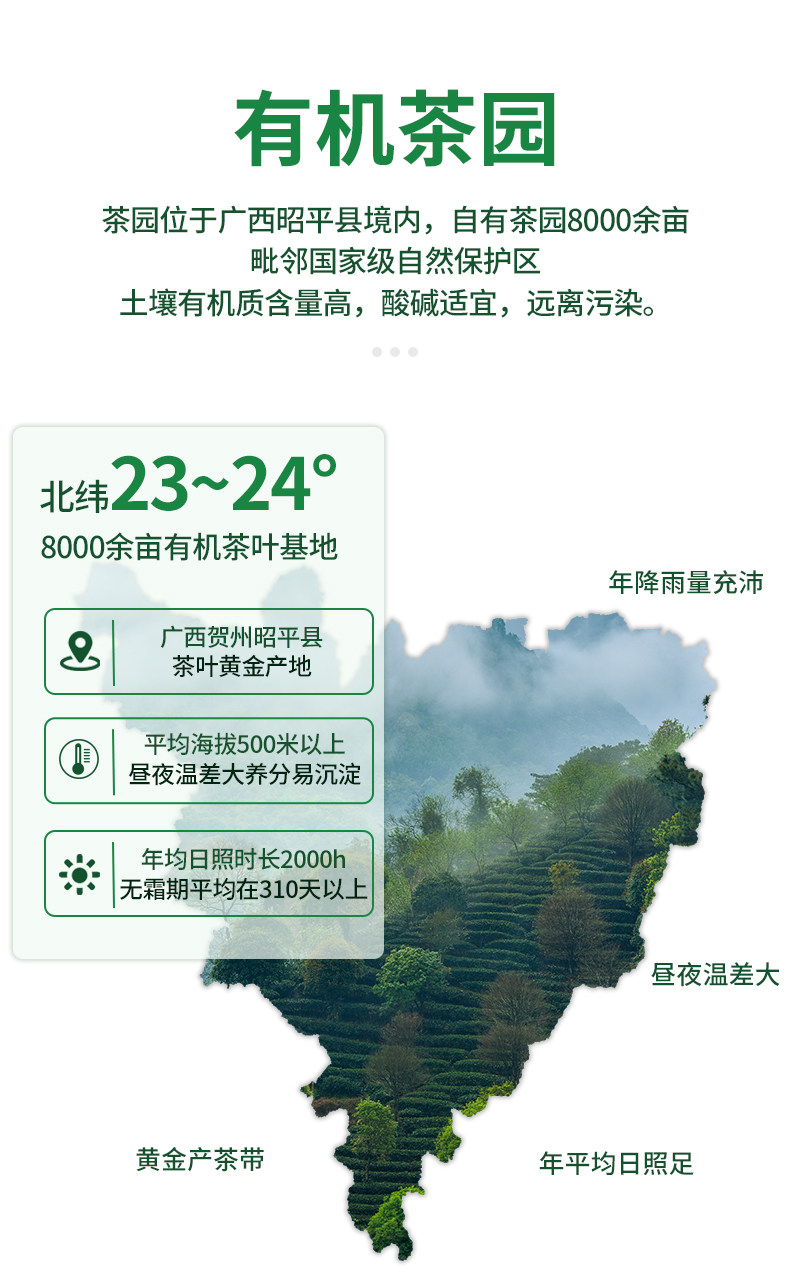 安享好物 安享S级绿茶-将军峰有机绿茶 国标 