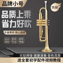 Trumpet instrument Bb flat YTS-8335GS gold silver-plated phosphor bronze beginner grade examination professional performance