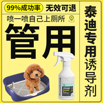 Teddys special dog inducer is a fixed-point defecation tool for dogs to train in the toilet and prevent random peeing and pooping.