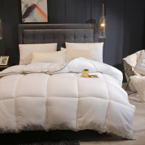 Hotel Guesthouse Pure White Quilt Core Soy Fiber Quilt All Season Universal Bedding Single Student Dormitory Cotton Quilt