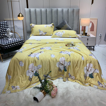 Dream silk fiber summer cool by summer air conditioner by summer water washed ice thin quilt double