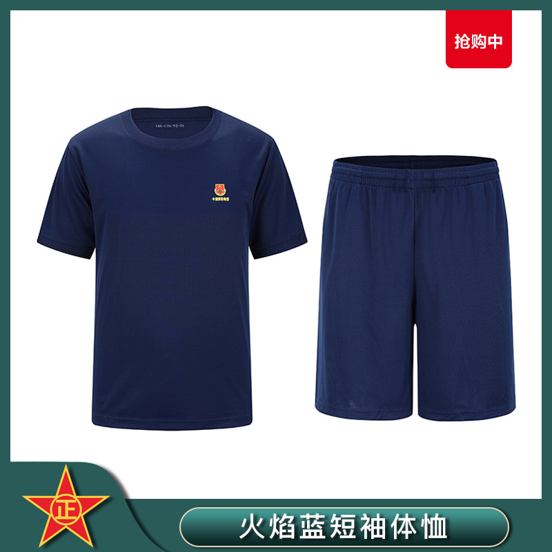 Flame Blue Short Sleeve Fire Fitness Summer Speed Dry Fitness Round Collar T-Shirt Blue Short Sleeve Fitness