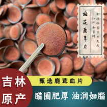Jilin Pure Plum Blossom Full Wax Slices Deer Antler Red Powder Slices Stewed Soup Nourishing Water Wine Medicinal Materials 30g