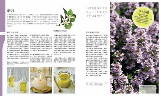 Натуральный эфирный масляный ароматерапевтический комплекс Сьюзен Кёртис от Фэн Шу Фанг