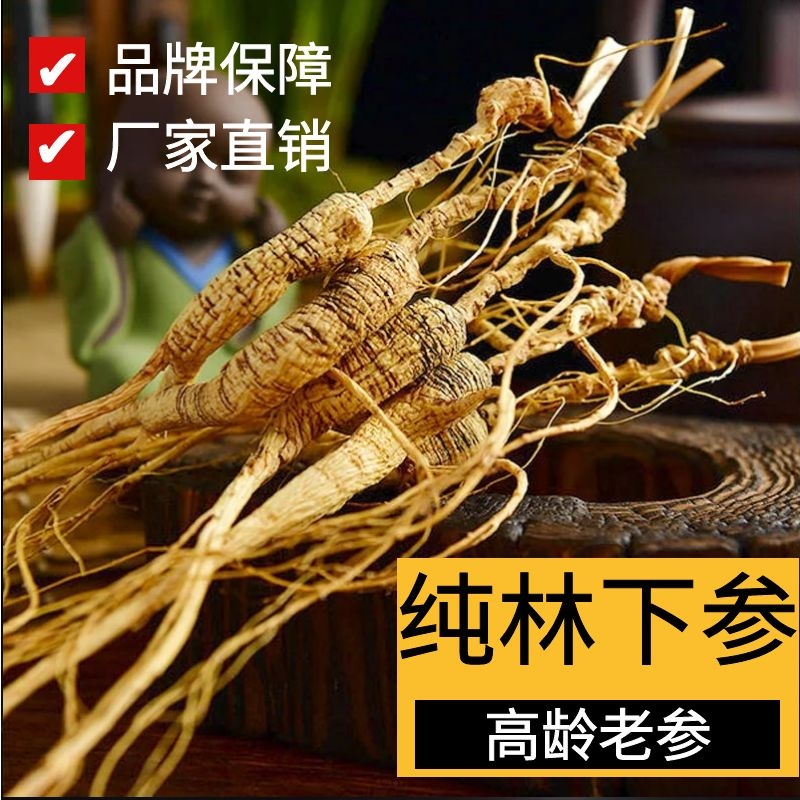 Long White Mountain Wild Mountain Ginseng ginseng Ginseng Woods down the Mountain Ginseng 18 Years Fresh Wild Mountain Ginseng Fresh Ginseng Slice of the Mountain Ginseng Gift Box