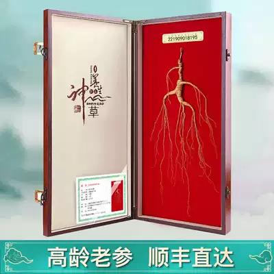 Changbai Mountain Ginseng Wild Mountain Ginseng Gift Box National Inspection Certificate First Class Gift Boxed Forest Ginseng 36 Years