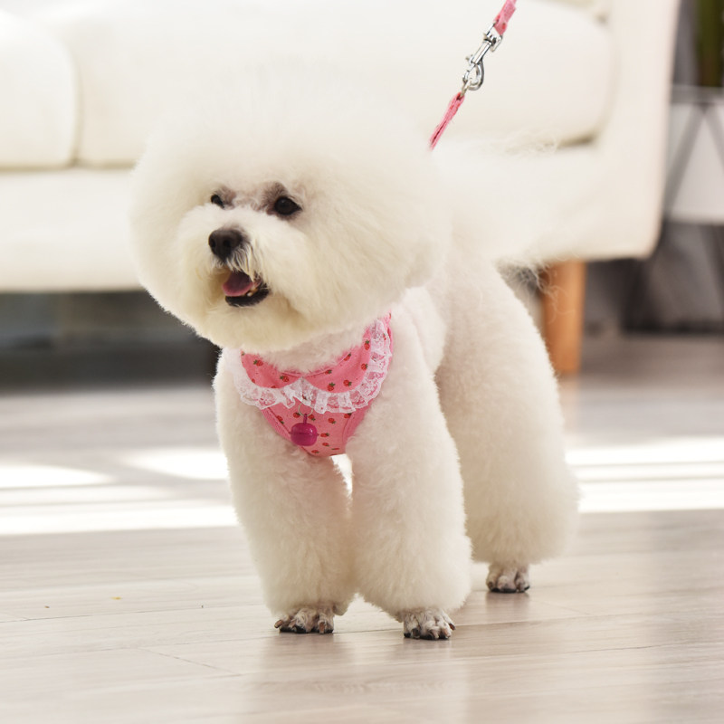 Dog Traction Rope Vest Style Walking Dog Rope Teddy Small Dog Dog Chain Biumami Pet Breast Cuddling Bag Supplies