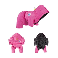 Роза красный (дождь и холод)