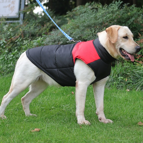 Собачья одежда средние большие собаки зима согреть хлопчатобумаж