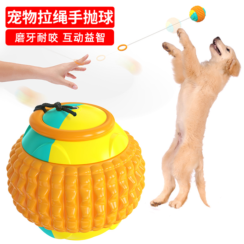 Dog Toys Bite-Resistant Grinding Medium and Large Dogs Teeth Cleaning Hand Throwing Ball Relieving Boredom Artifact Interactive Puzzle Rubber Training Ball