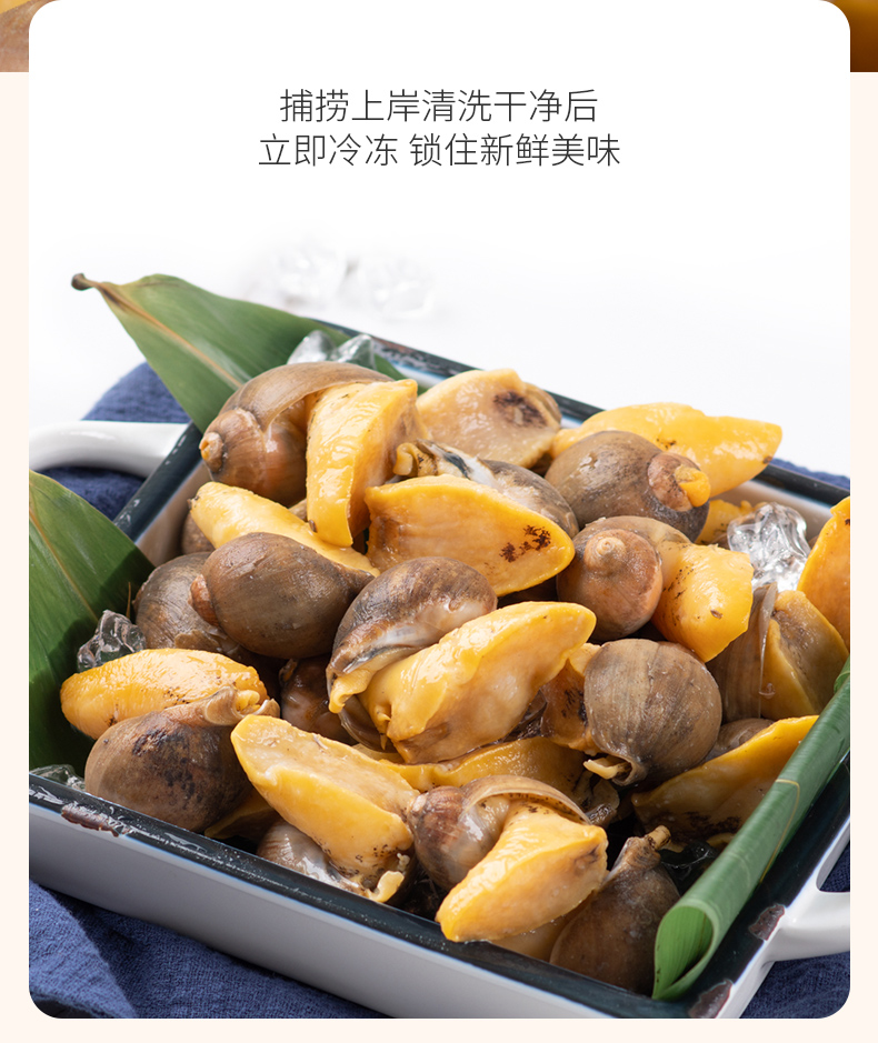 鲜惠淘 已清洗珍珠鲍 500g 送1kg海菜 图3