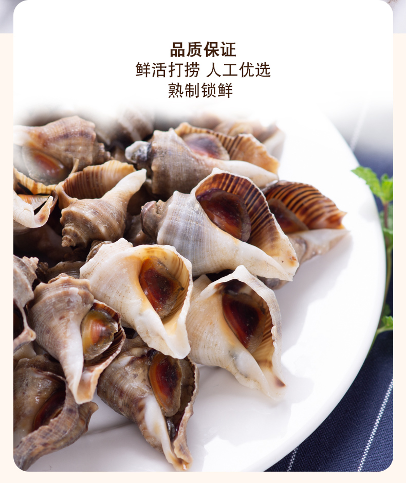 【顺丰包邮500g】海螺鲜活新鲜辽宁特产