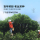【Новый продукт】 Qianting Single Cong, Old Cong, Song Seed, Wudong, Высокогорный чай премиум-класса Phoenix Single Cong в подарочной упаковке, 100 г mini 2