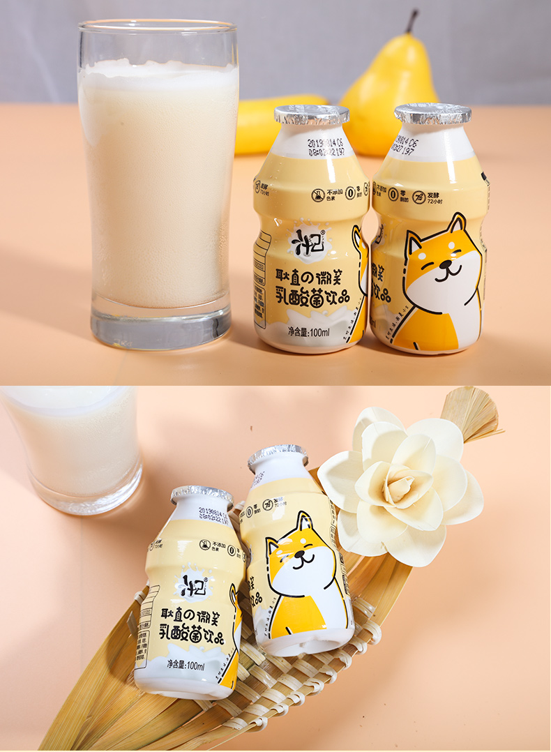 汁己乳酸菌牛奶饮品100ml*20瓶