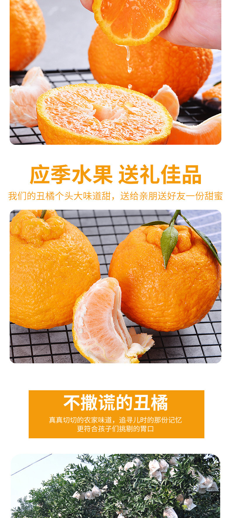 长河源 不知火丑橘 净重8斤 图4