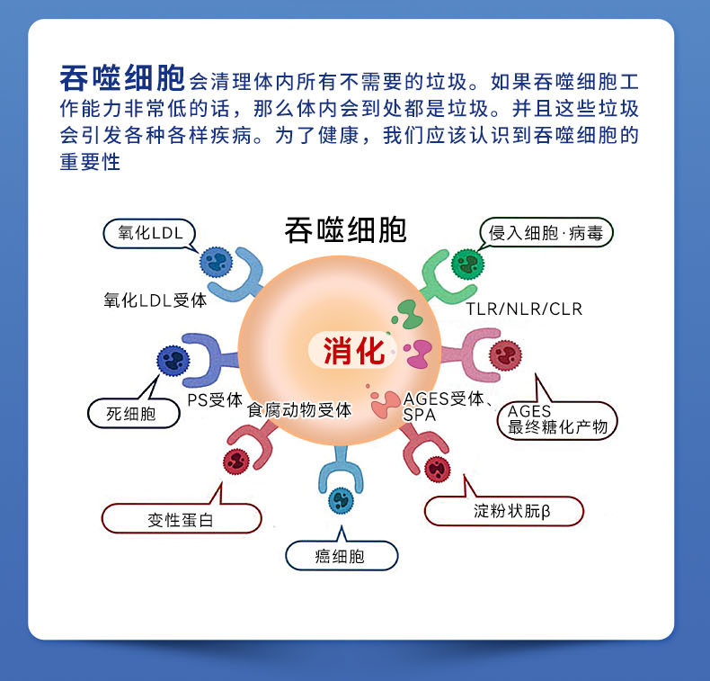 drlps日本进口益生菌软胶丸