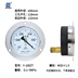Thượng Hải Nghi Xuyên Nhạc Cụ trục đai phía trước đồng hồ đo áp suất Y-60ZT Y-100ZT áp suất dầu áp suất không khí áp suất nước đồng hồ đo chân không 