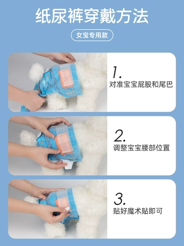 Petsoft Pet моча не мокнет горькая пешка для джинсовых подгузников, плюшевые, анти -харассирующие физиологические штаны менструальные штаны