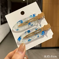 S31-голубая пара