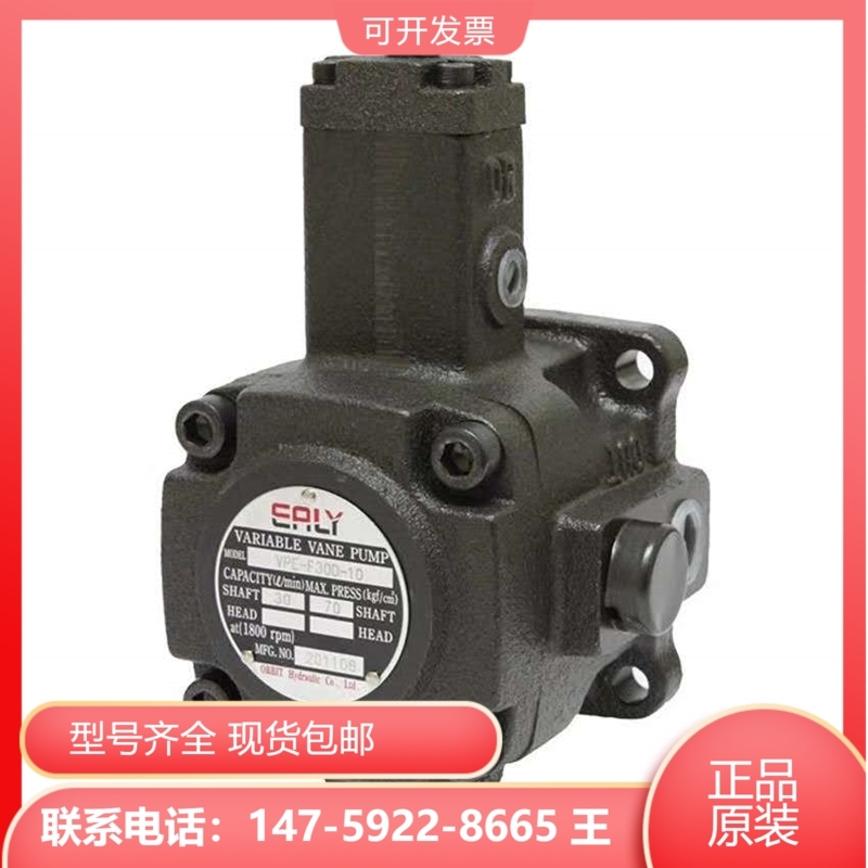 Taiwan vane pumps 50T-20-FRL-X-10 50T-12 50T-17 50T-17 50T-14 CRUISE FORCE EALY