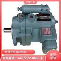 Taiwan Xuhong HHPC plunger P46-BH3-F-R-01 P46-BH3-F-R-01 P46-BH2-F-R-01 P46-BH1