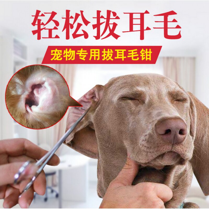 狗狗耳朵拔耳毛钳宠物美容剪刀猫咪修毛拔毛剪泰迪拔毛粉清理耳道