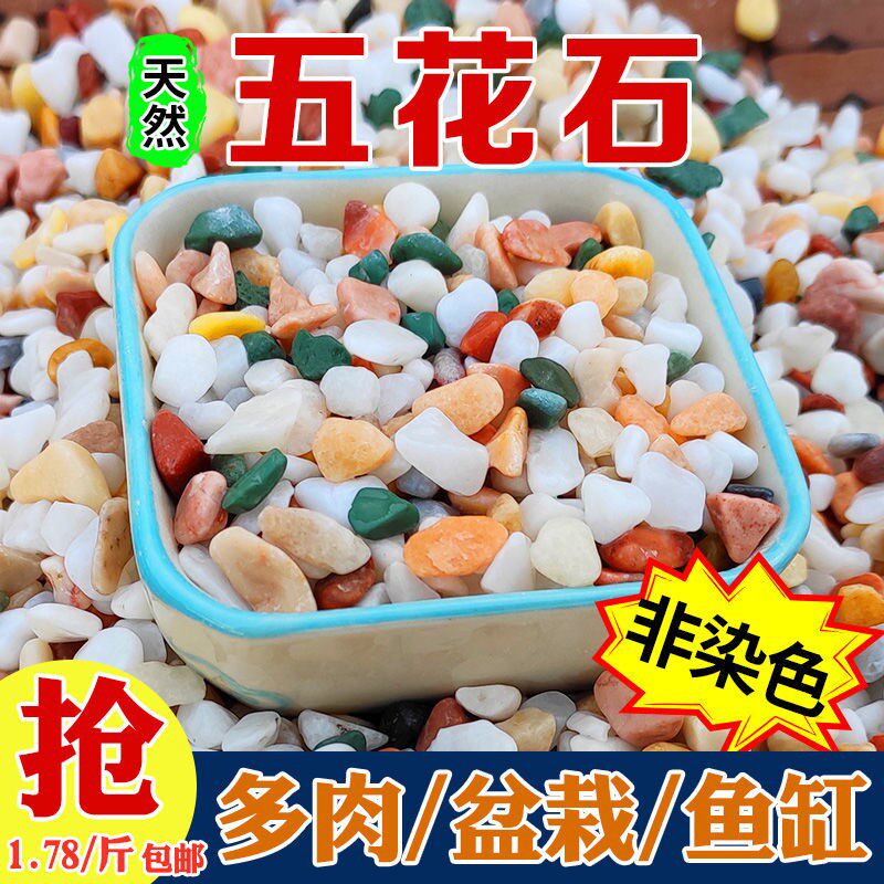 Natural five-flowered stone rain flower stone fish tank decorated with colorful stones, meaty pavement, hydroponic plant, bottom multi-colored stone
