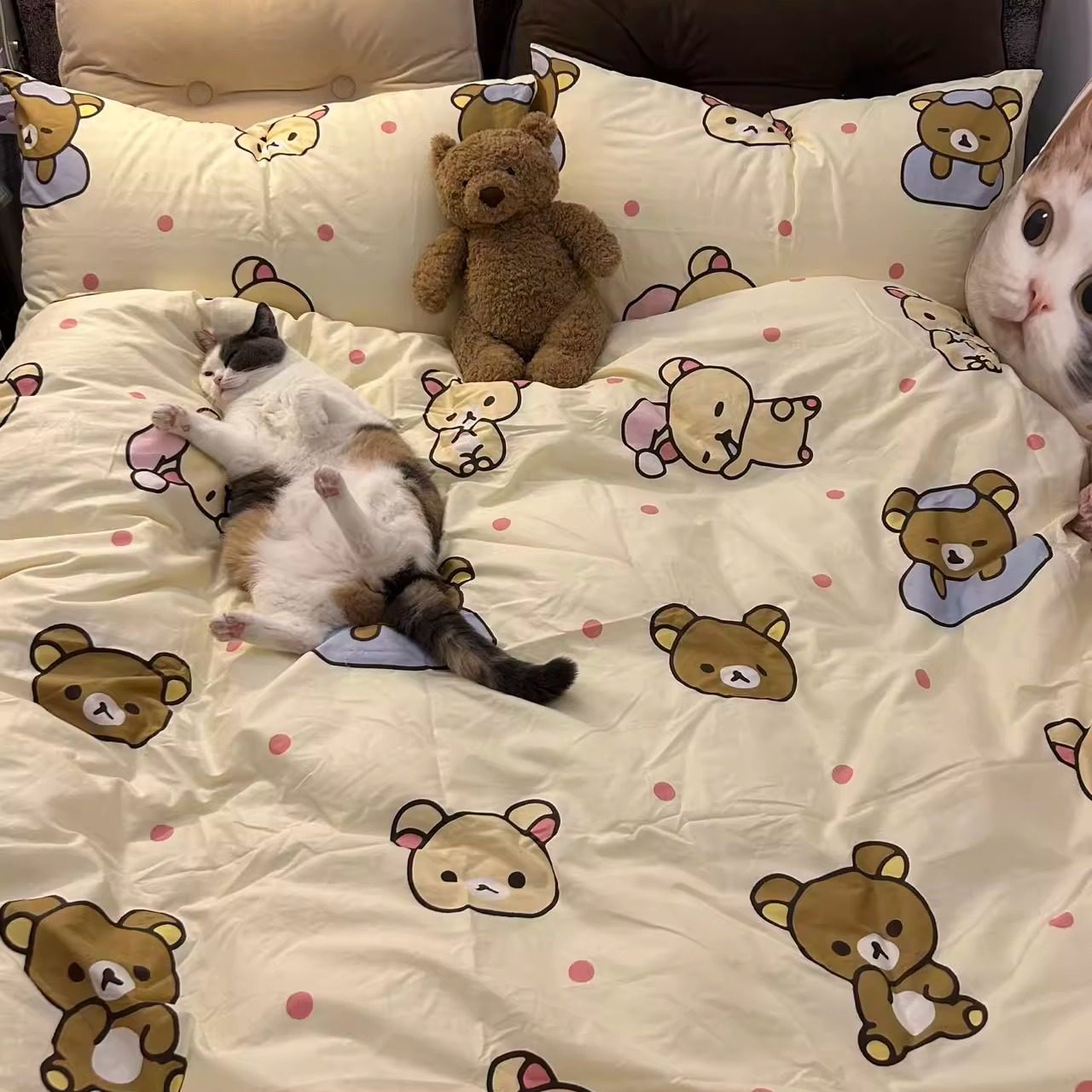 img2