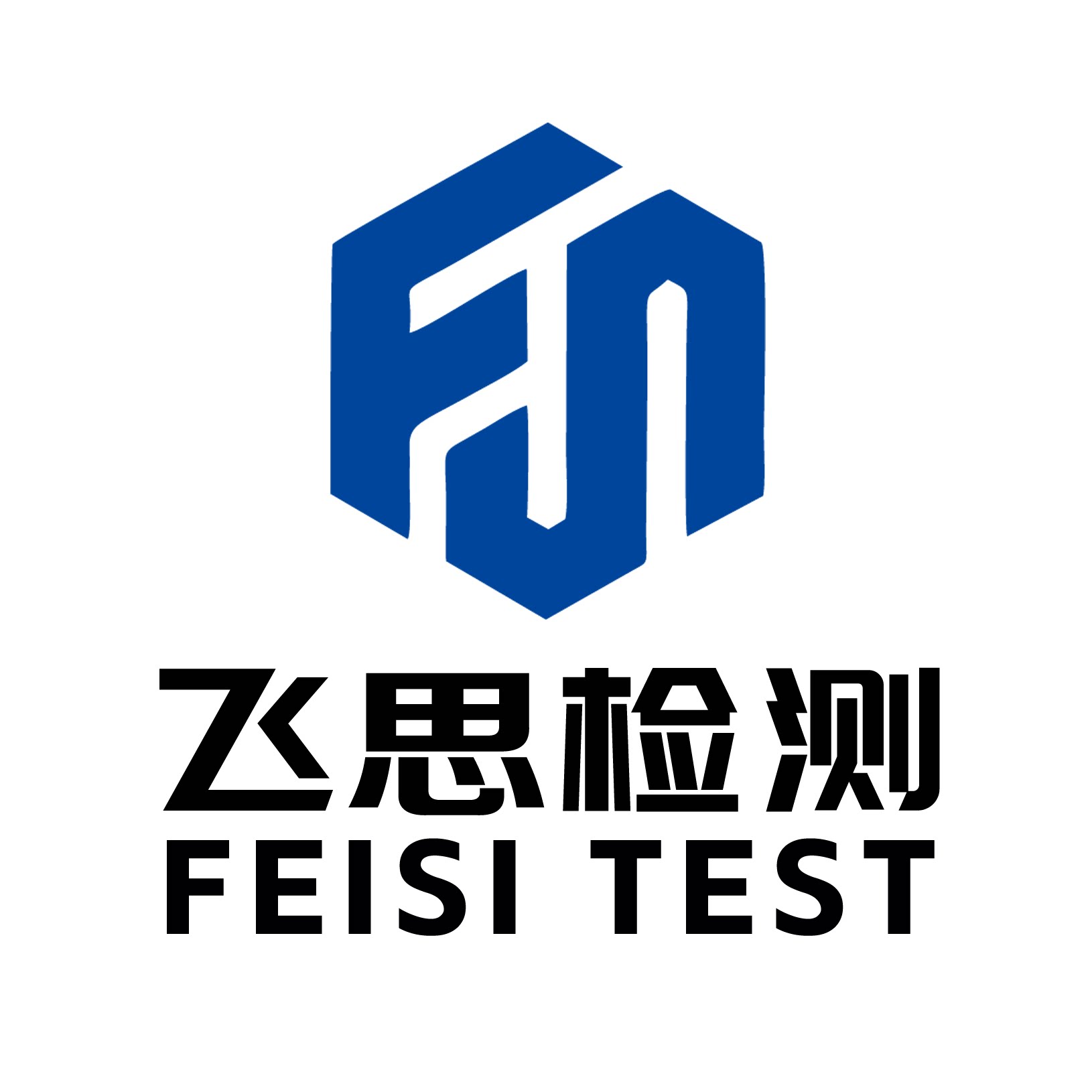 飞思检验检测的LOGO
