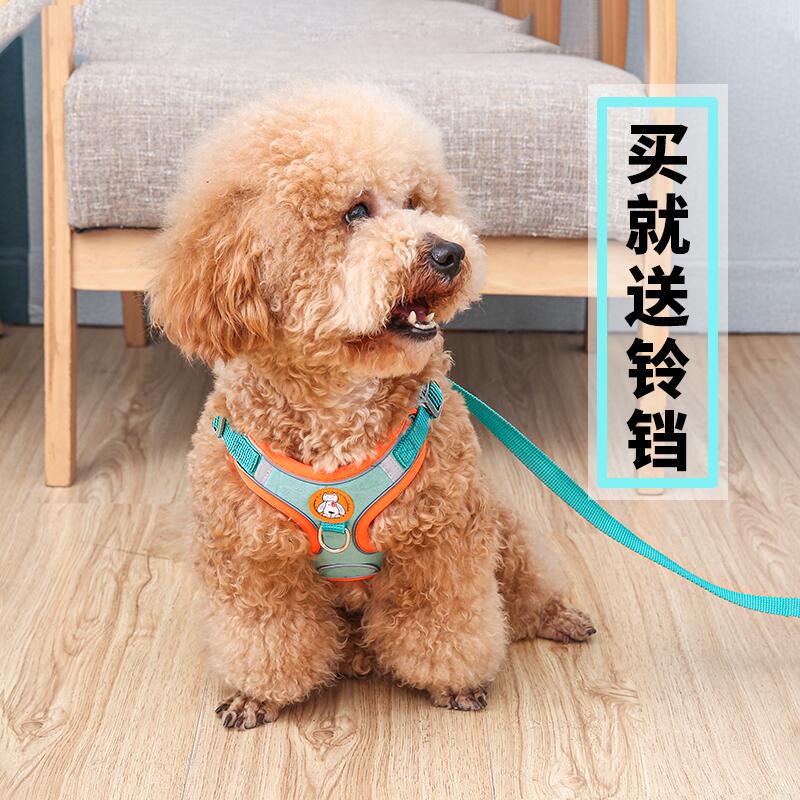 Small Dog Vest-Style Harness Dog Leash Teddy Bichon Pomeranian Puppy Walking Leash Dog Chain