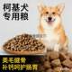 Corgi ອາຫານຫມາຊຸດໃຫຍ່ພິເສດ 40 ກິໂລສໍາລັບຫມາຫນຸ່ມແລະຜູ້ໃຫຍ່, ນົມຫມາທີ່ສົມດຸນທາງໂພຊະນາການສາກົນ, ລາຄາເຕັມ, ອາຫານຫມາຫຼັງຈາກເດືອນເຕັມ
