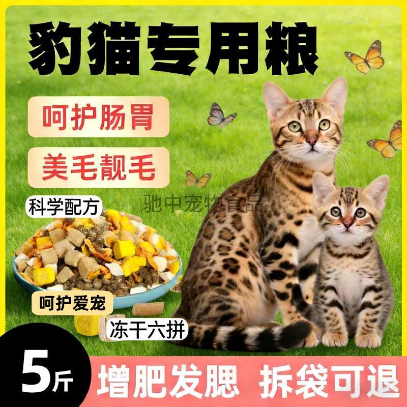 Specialized Food for Bengal Cats, High-Protein Fresh Meat Freeze-Dried Food for Kittens 5kg 2.5kg Large Package, Affordable Universal Type for Domestic Cats