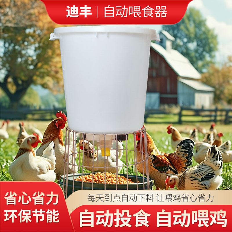 Don’t be afraid of traveling far away! the solar-powered chicken ...