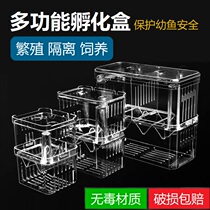 Guppies hatching breeding box acrylic aquarium isolation box ovipositor young fry egg breeding box delivery room