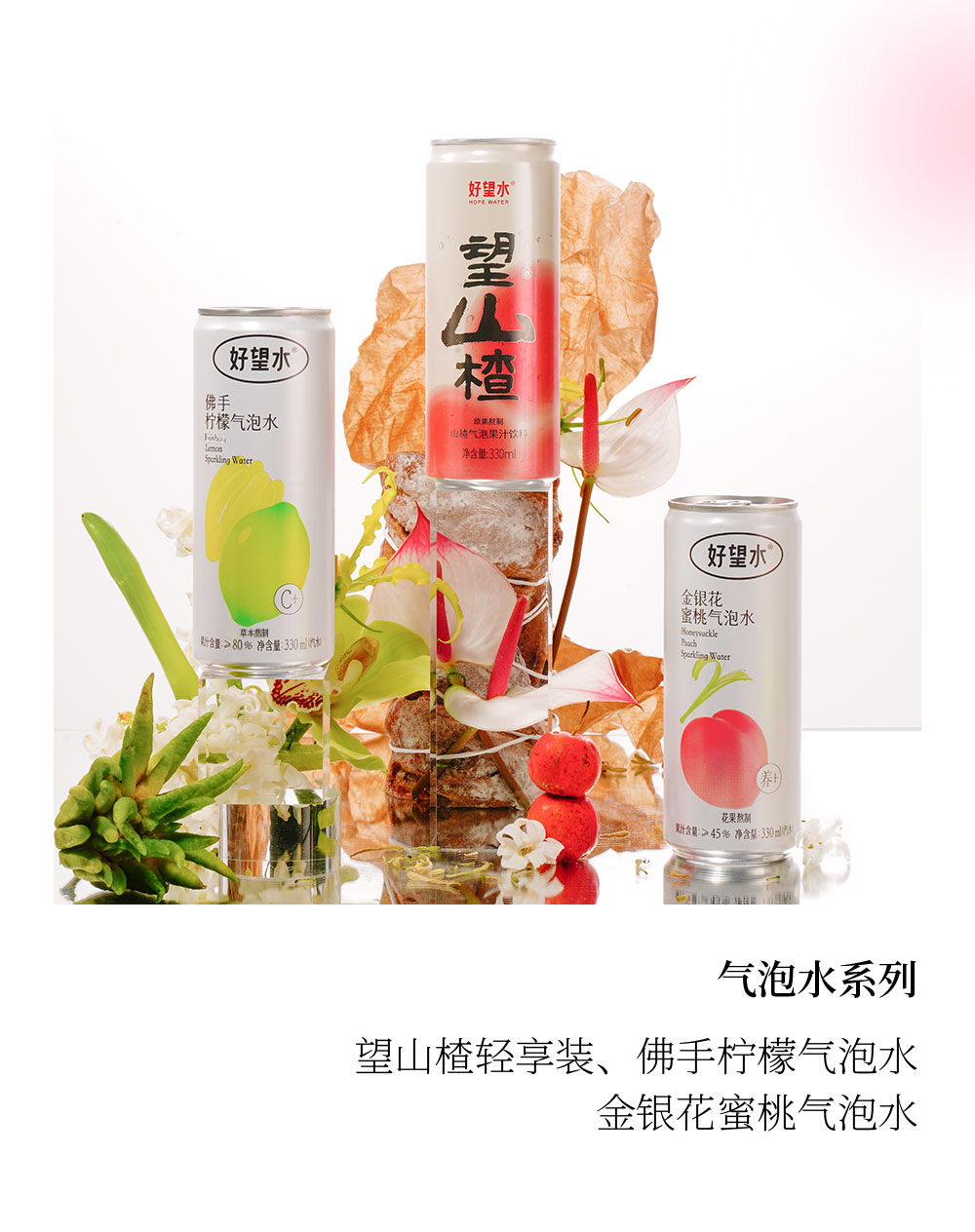 好望水果汁气泡水健康饮料整箱300ml*6瓶