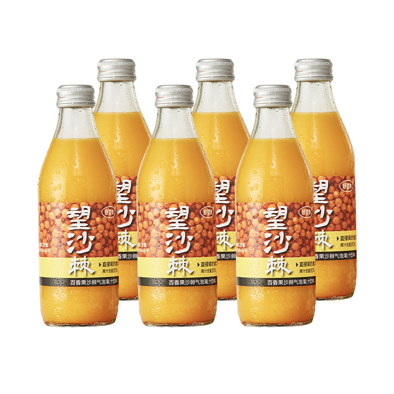 好望水望沙棘汁气泡水250ml*6瓶
