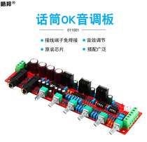 New karaoke board reverberation board PT2399 NE5532 tuning board high and low bass adjustment AC12V-15V power supply