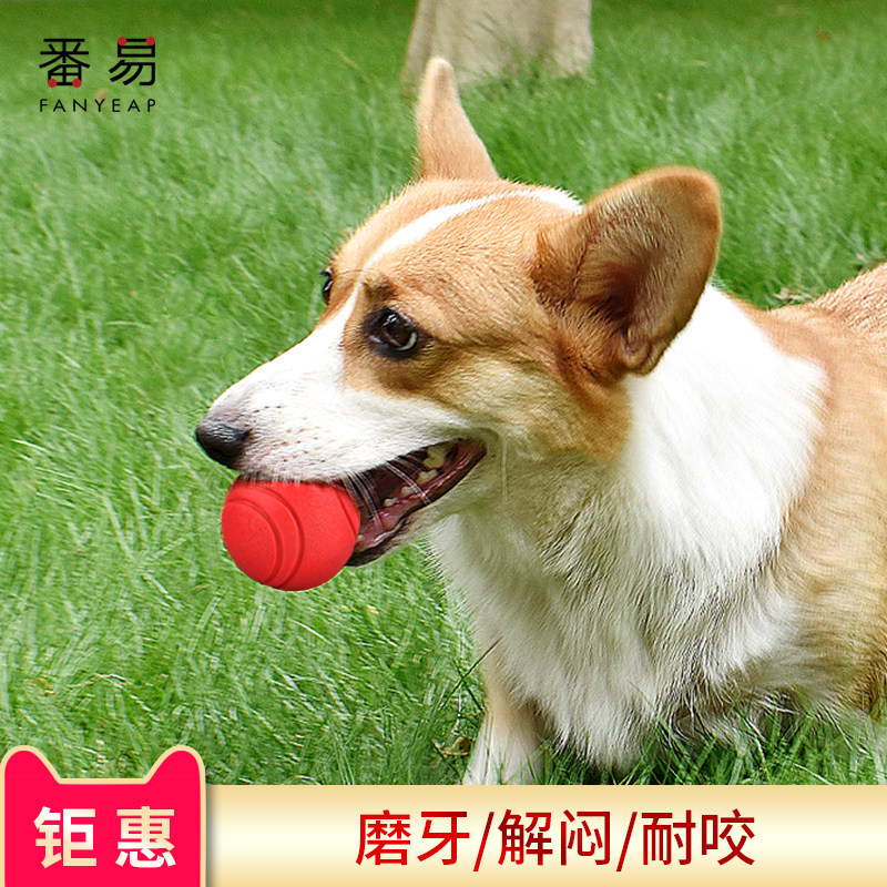 Dog toy ball pet jumping ball tennis solid ball teasing dog training ball molar bite-resistant young, medium and large dogs