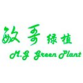 敏哥绿植的LOGO