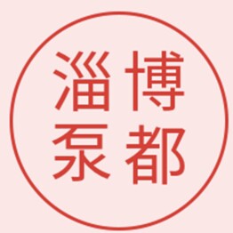 淄博泵都