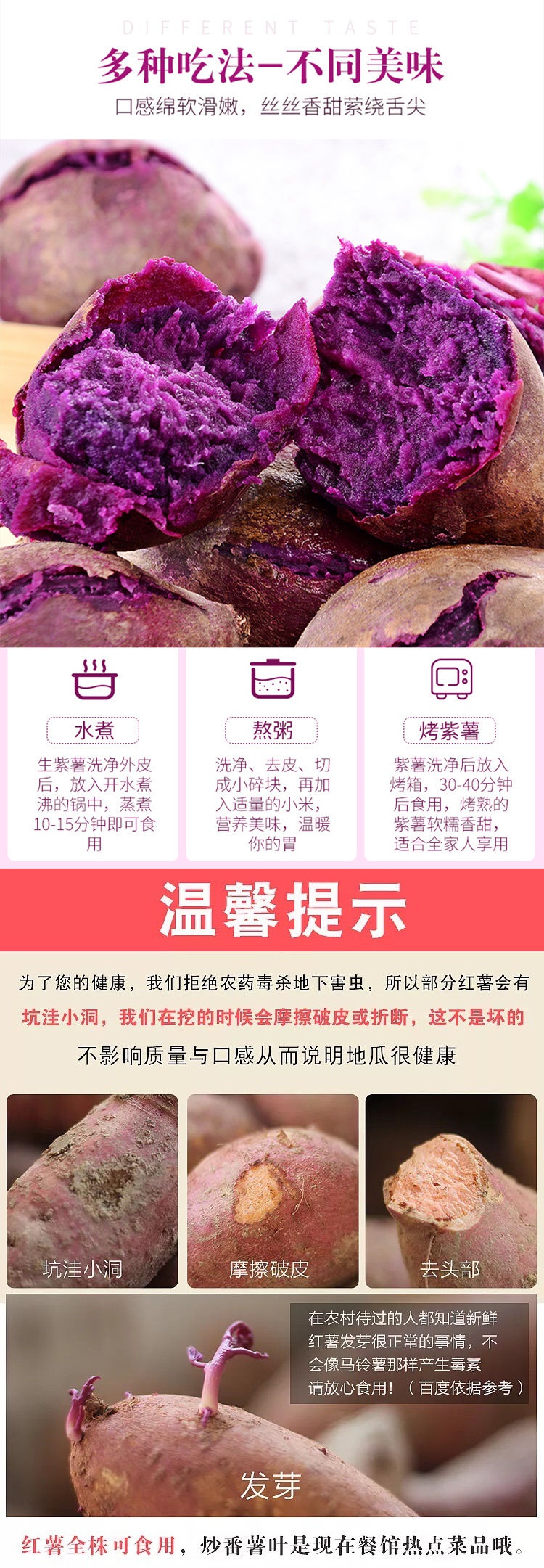 沙地紫薯新鲜 番薯板栗红薯地瓜蜜薯蔬菜