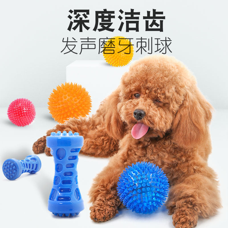 Pooch toy ball resistant to bite, vocal pet large dog Labrador teddy puppy puppies antidote